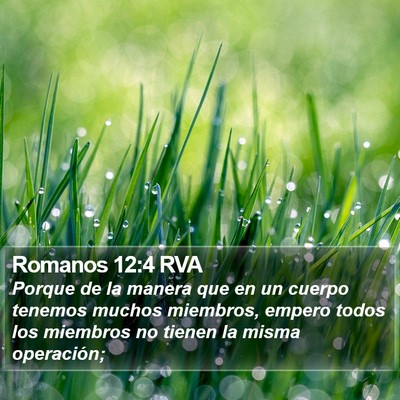 Romanos 12:4 RVA Bible Verse Image