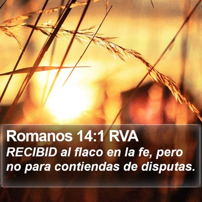 Romanos 14:1 RVA Bible Verse Image