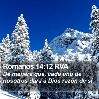 Romanos 14:12 RVA Bible Verse Image