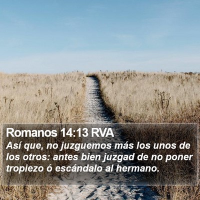 Romanos 14:13 RVA Bible Verse Image