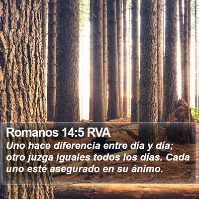 Romanos 14:5 RVA Bible Verse Image