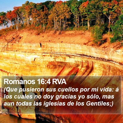 Romanos 16:4 RVA Bible Verse Image
