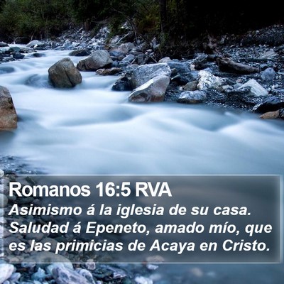Romanos 16:5 RVA Bible Verse Image