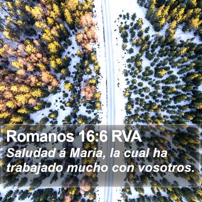 Romanos 16:6 RVA Bible Verse Image