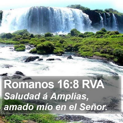 Romanos 16:8 RVA Bible Verse Image