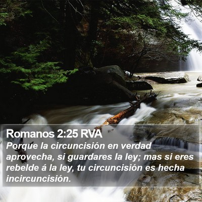 Romanos 2:25 RVA Bible Verse Image