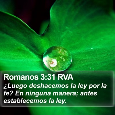 Romanos 3:31 RVA Bible Verse Image