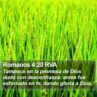 Romanos 4:20 RVA Bible Verse Image