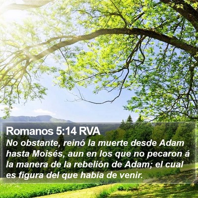 Romanos 5:14 RVA Bible Verse Image