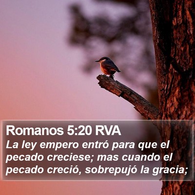 Romanos 5:20 RVA Bible Verse Image