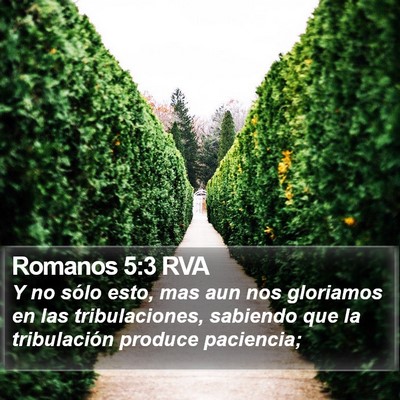 Romanos 5:3 RVA Bible Verse Image