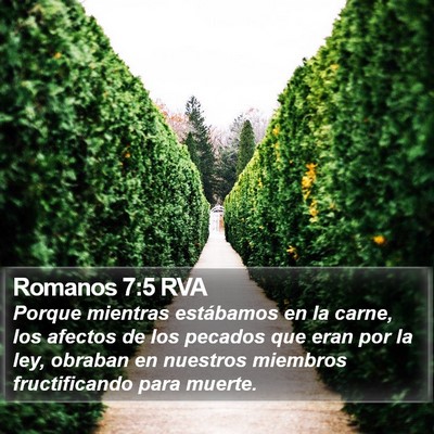 Romanos 7:5 RVA Bible Verse Image