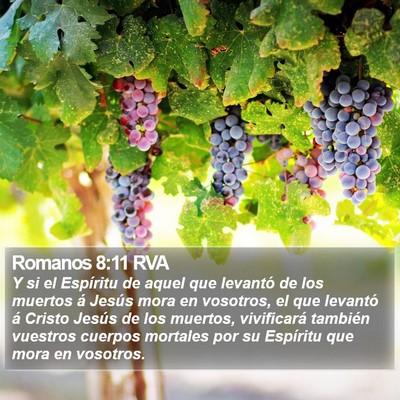 Romanos 8:11 RVA Bible Verse Image