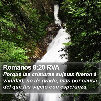 Romanos 8:20 RVA Bible Verse Image