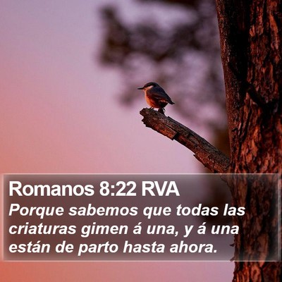 Romanos 8:22 RVA Bible Verse Image