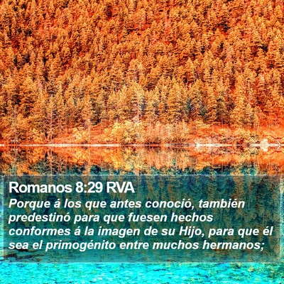 Romanos 8:29 RVA Bible Verse Image