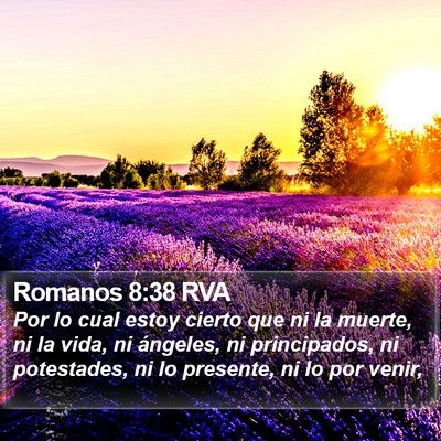 Romanos 8:38 RVA Bible Verse Image