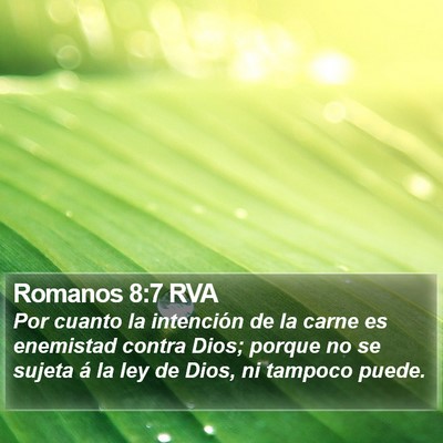Romanos 8:7 RVA Bible Verse Image