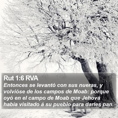 Rut 1:6 RVA Bible Verse Image