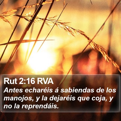 Rut 2:16 RVA Bible Verse Image