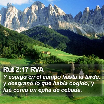 Rut 2:17 RVA Bible Verse Image