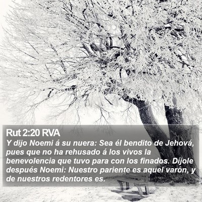 Rut 2:20 RVA Bible Verse Image