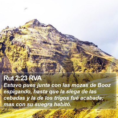 Rut 2:23 RVA Bible Verse Image