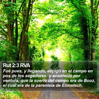 Rut 2:3 RVA Bible Verse Image