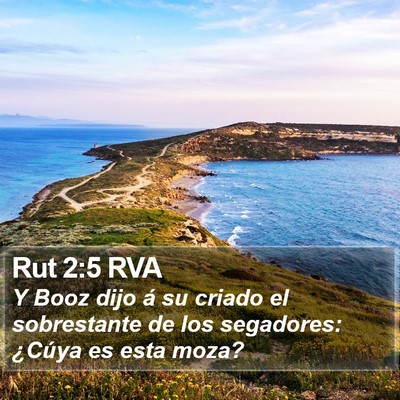 Rut 2:5 RVA Bible Verse Image