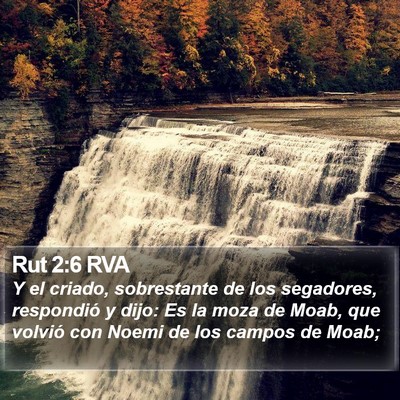 Rut 2:6 RVA Bible Verse Image