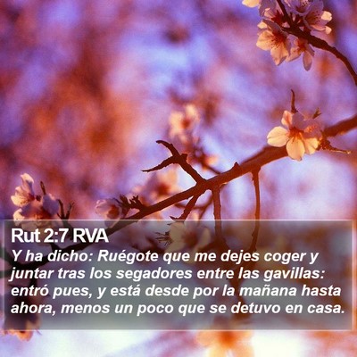 Rut 2:7 RVA Bible Verse Image