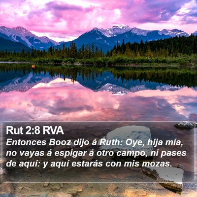 Rut 2:8 RVA Bible Verse Image