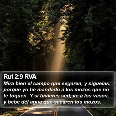 Rut 2:9 RVA Bible Verse Image