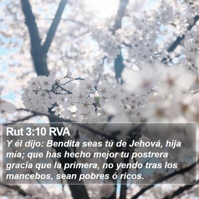Rut 3:10 RVA Bible Verse Image