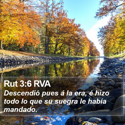 Rut 3:6 RVA Bible Verse Image