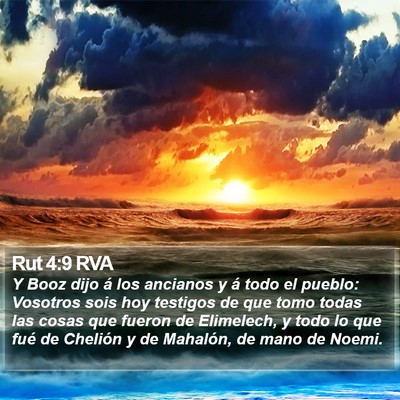 Rut 4:9 RVA Bible Verse Image