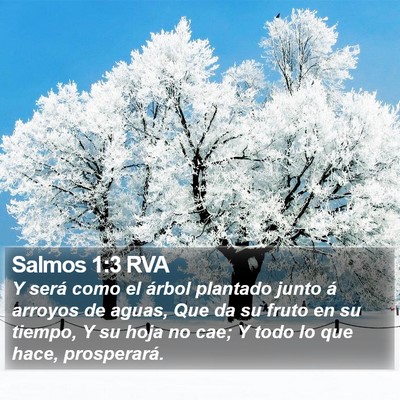 Salmos 1:3 RVA Bible Verse Image