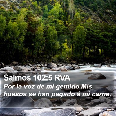 Salmos 102:5 RVA Bible Verse Image