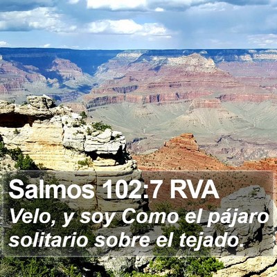 Salmos 102:7 RVA Bible Verse Image