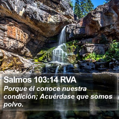 Salmos 103:14 RVA Bible Verse Image