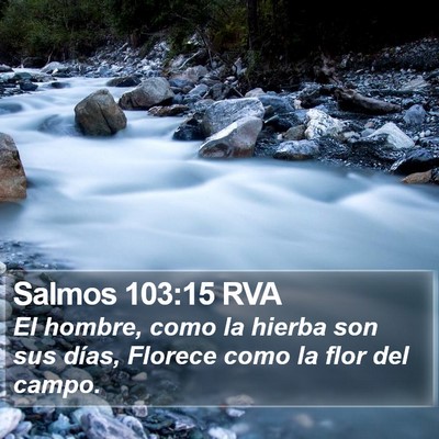 Salmos 103:15 RVA Bible Verse Image