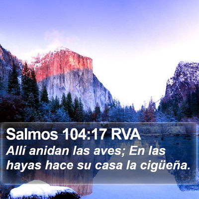 Salmos 104:17 RVA Bible Verse Image