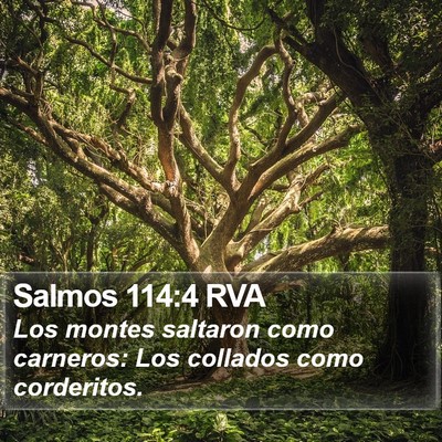 Salmos 114:4 RVA Bible Verse Image