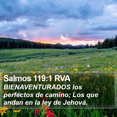 Salmos 119:1 RVA Bible Verse Image