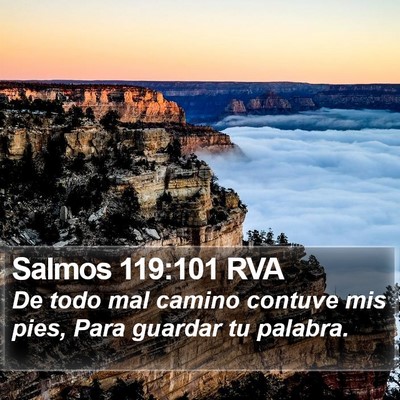 Salmos 119:101 RVA Bible Verse Image
