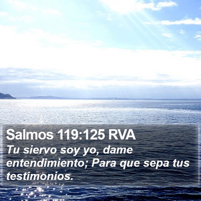 Salmos 119:125 RVA Bible Verse Image