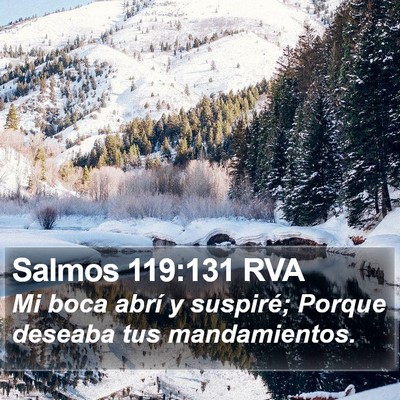 Salmos 119:131 RVA Bible Verse Image