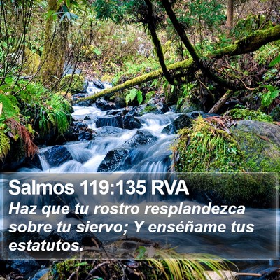 Salmos 119:135 RVA Bible Verse Image