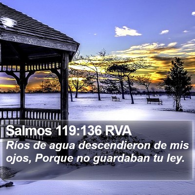 Salmos 119:136 RVA Bible Verse Image