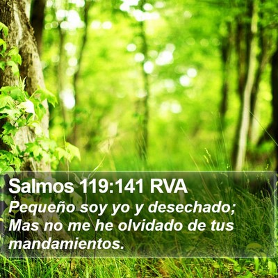 Salmos 119:141 RVA Bible Verse Image